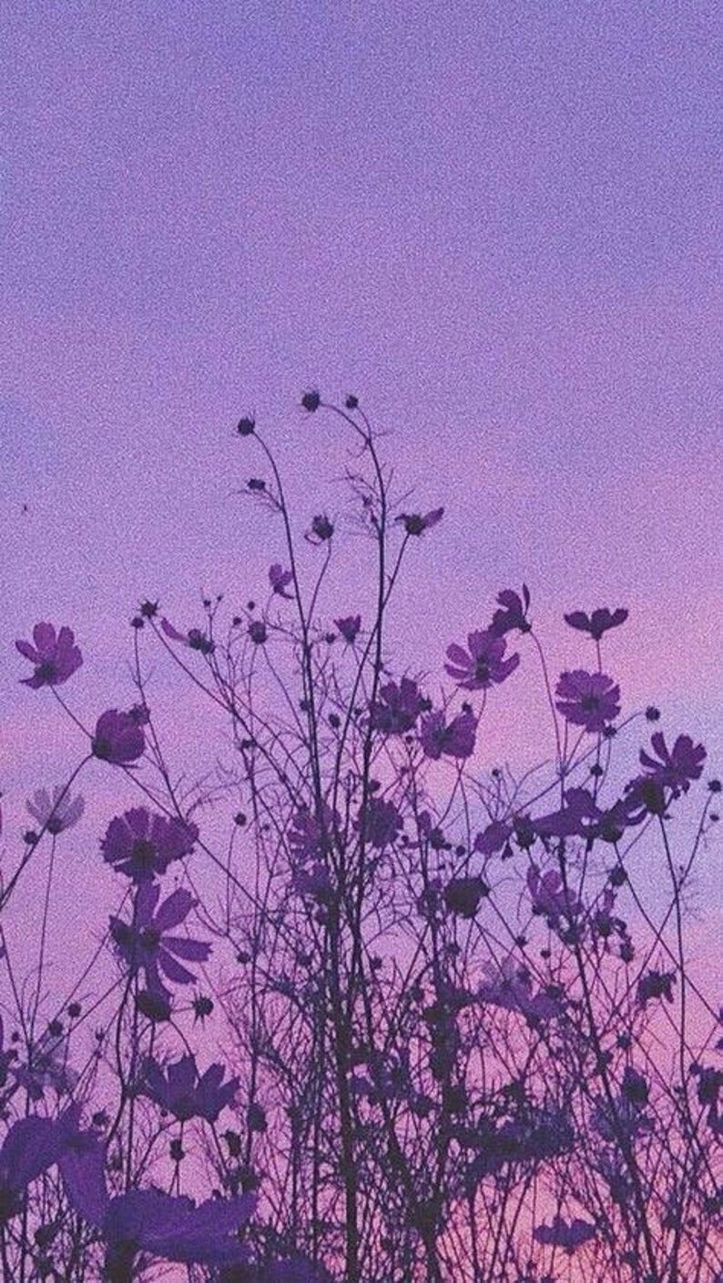 زکیه سلطانی محمدی