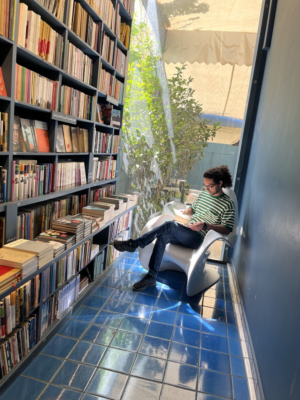 رضا باقری